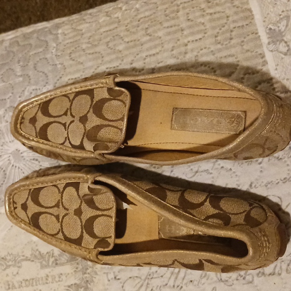 Shoe